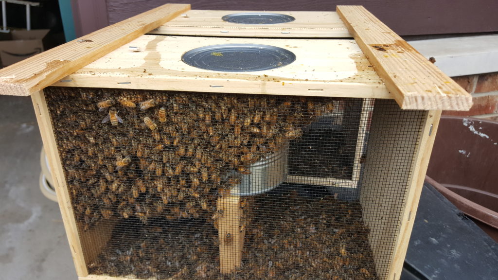 Honeybee Packages, Nucs, and Supplies - Cook Dupage Beekeepers Association